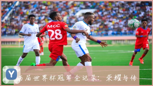 历届世界杯冠军全记录：荣耀与传奇的足球史诗